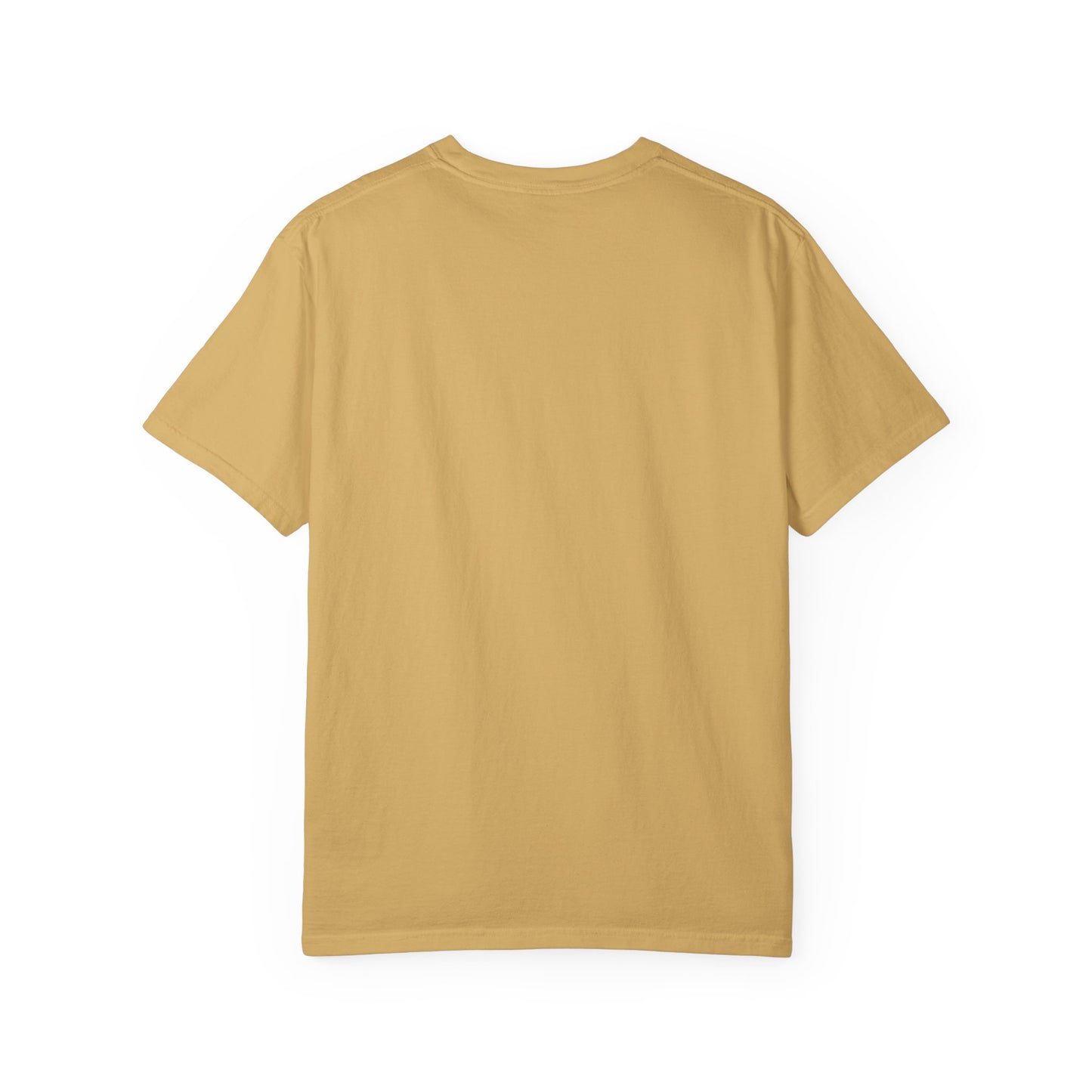 DELULU collegiate text T-Shirt | Womens T-shirt | Mens T-Shirt | Unisex Shirt | Gift
