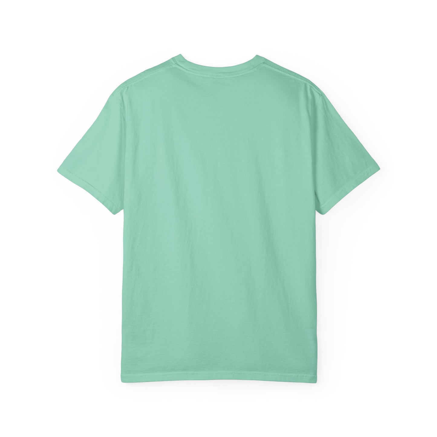 DELULU collegiate text T-Shirt | Womens T-shirt | Mens T-Shirt | Unisex Shirt | Gift