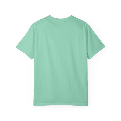 DELULU collegiate text T-Shirt | Womens T-shirt | Mens T-Shirt | Unisex Shirt | Gift