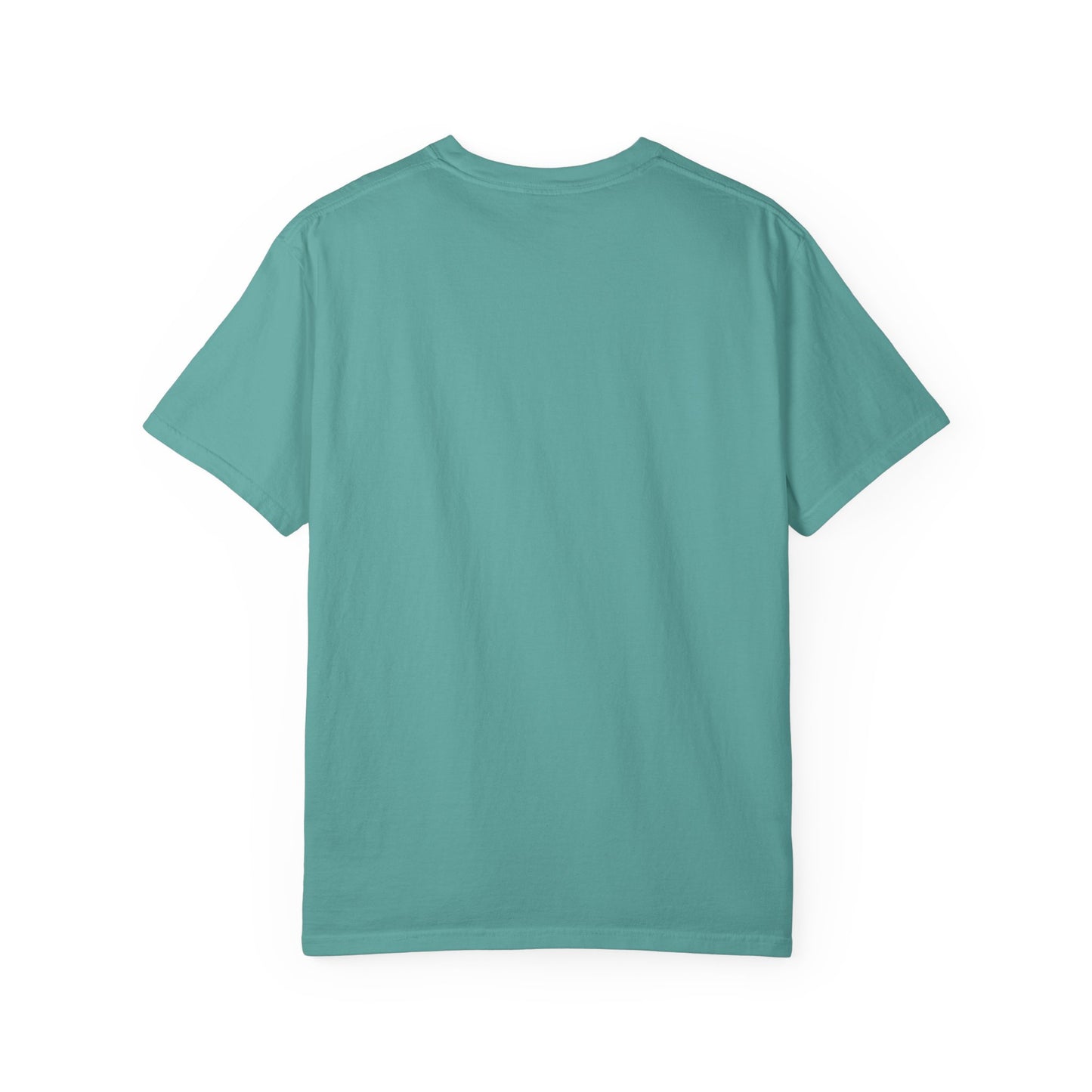 DELULU collegiate text T-Shirt | Womens T-shirt | Mens T-Shirt | Unisex Shirt | Gift